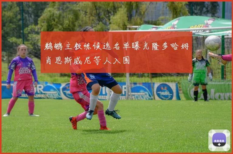 鹈鹕主教练候选名单曝光隆多哈姆肖恩斯威尼等人入围
